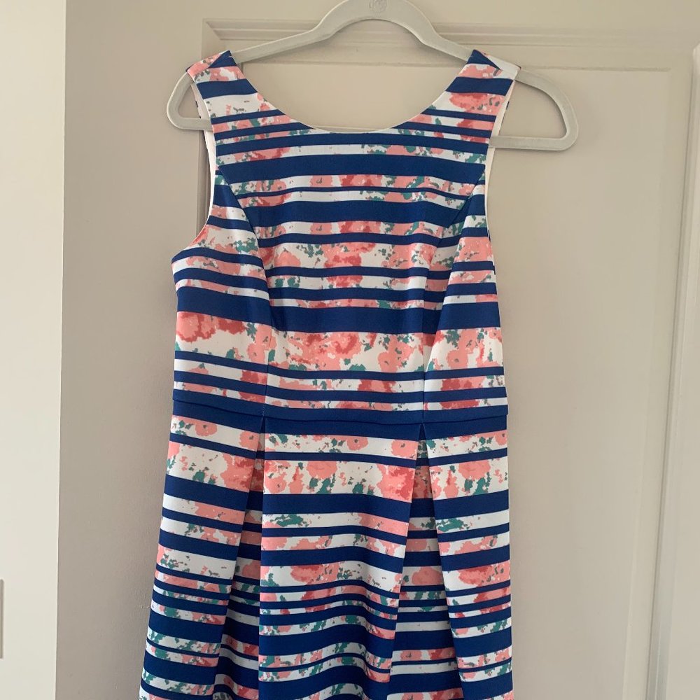 Blue and White Striped Dress with Pink Floral